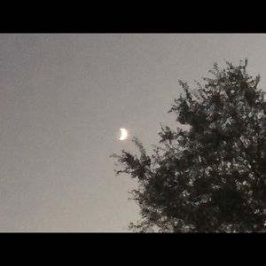 Meet your Posher, Cevin